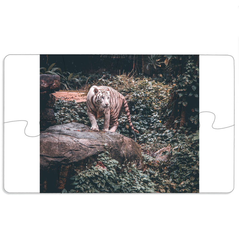 Магнитные фотопазлы 110 на 65 