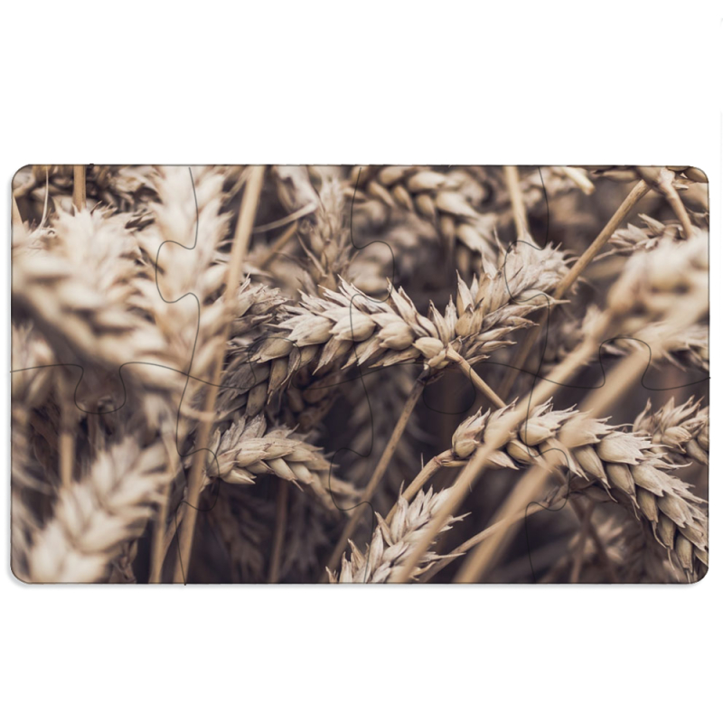 Магнитные фотопазлы 110 на 65 