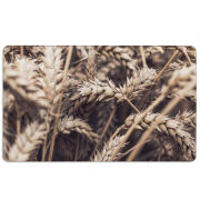 Магнитные фотопазлы 110 на 65 