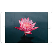 Магнитные фотопазлы 110 на 65 