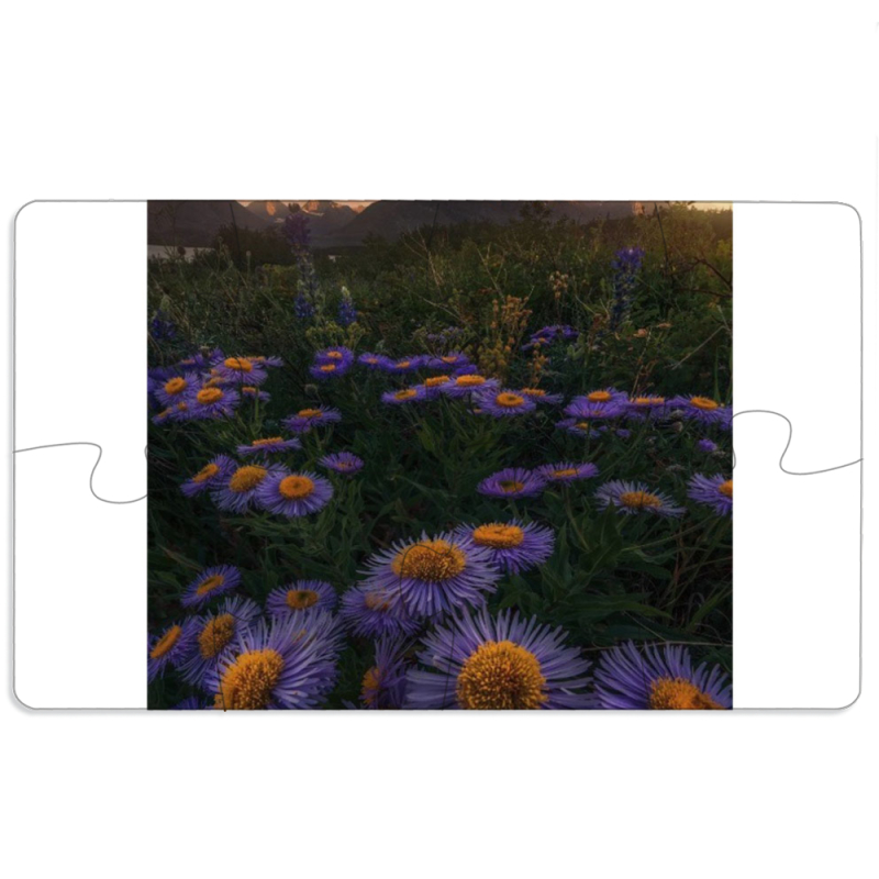 Магнитные фотопазлы 110 на 65 