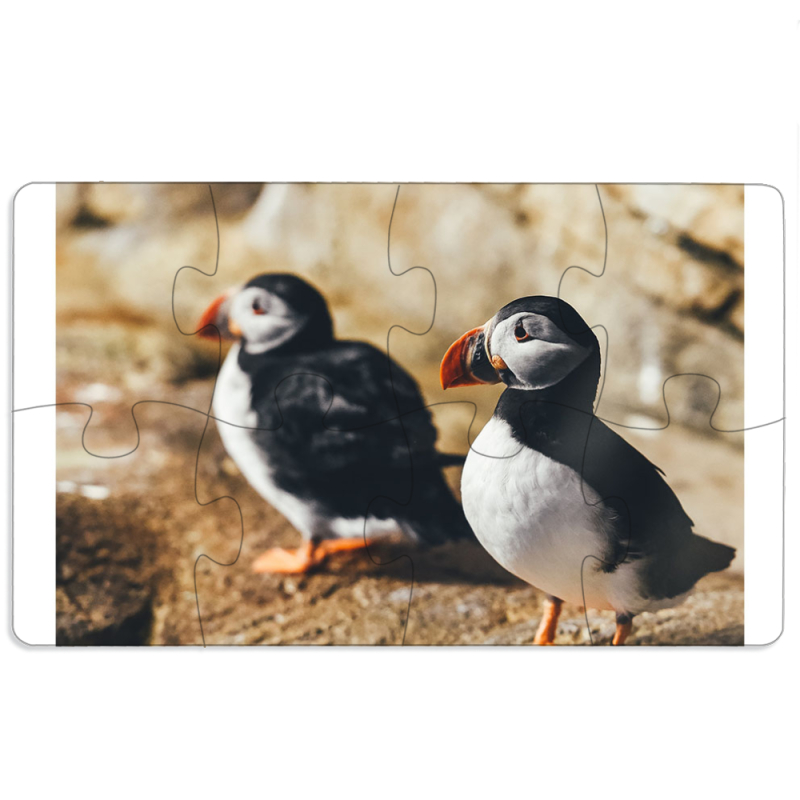 Магнитные фотопазлы 110 на 65 