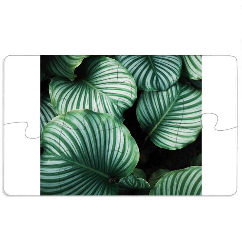 Магнитные фотопазлы 110 на 65 