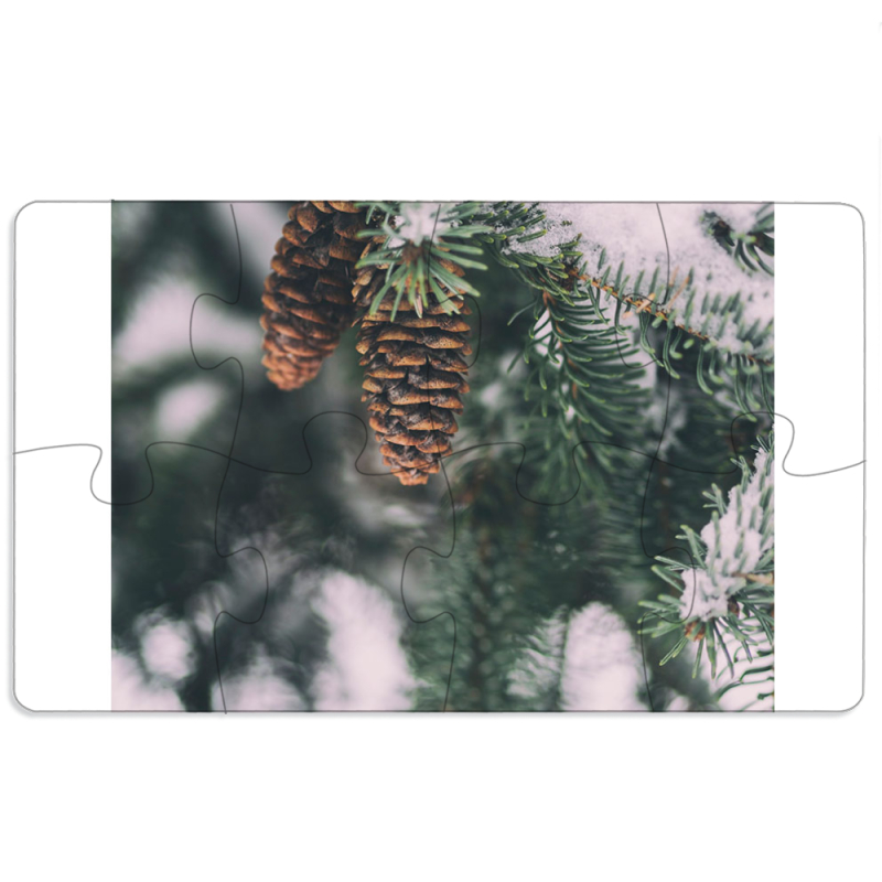 Магнитные фотопазлы 110 на 65 