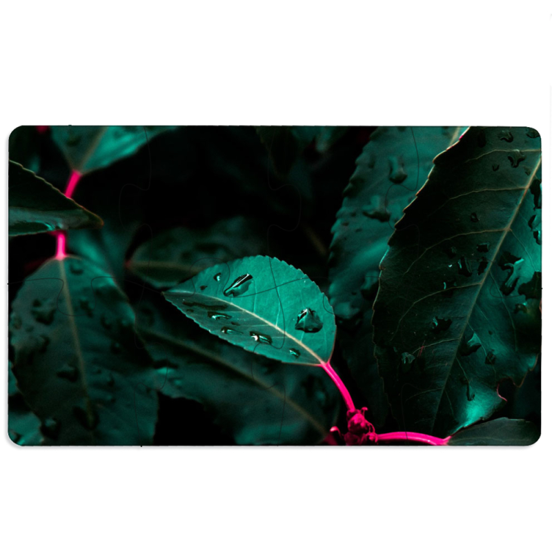 Магнитные фотопазлы 110 на 65 