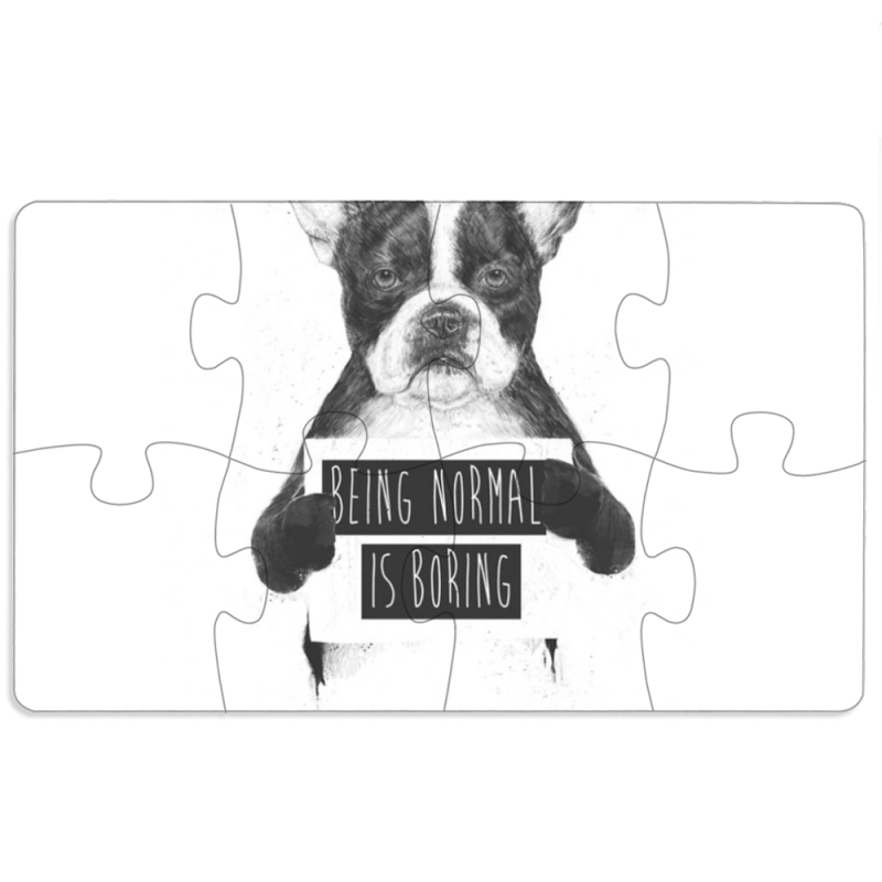 Магнитные фотопазлы 110 на 65 