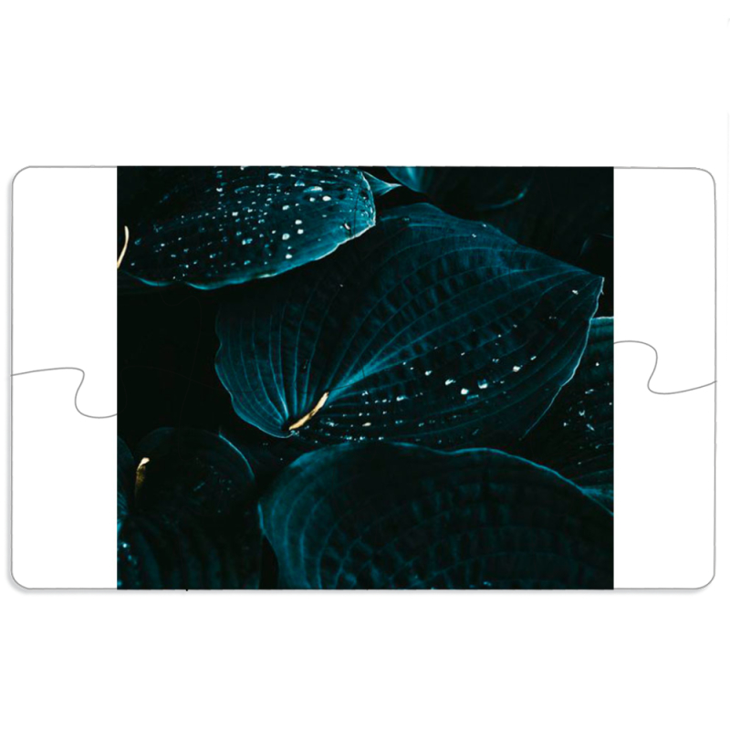 Магнитные фотопазлы 110 на 65 