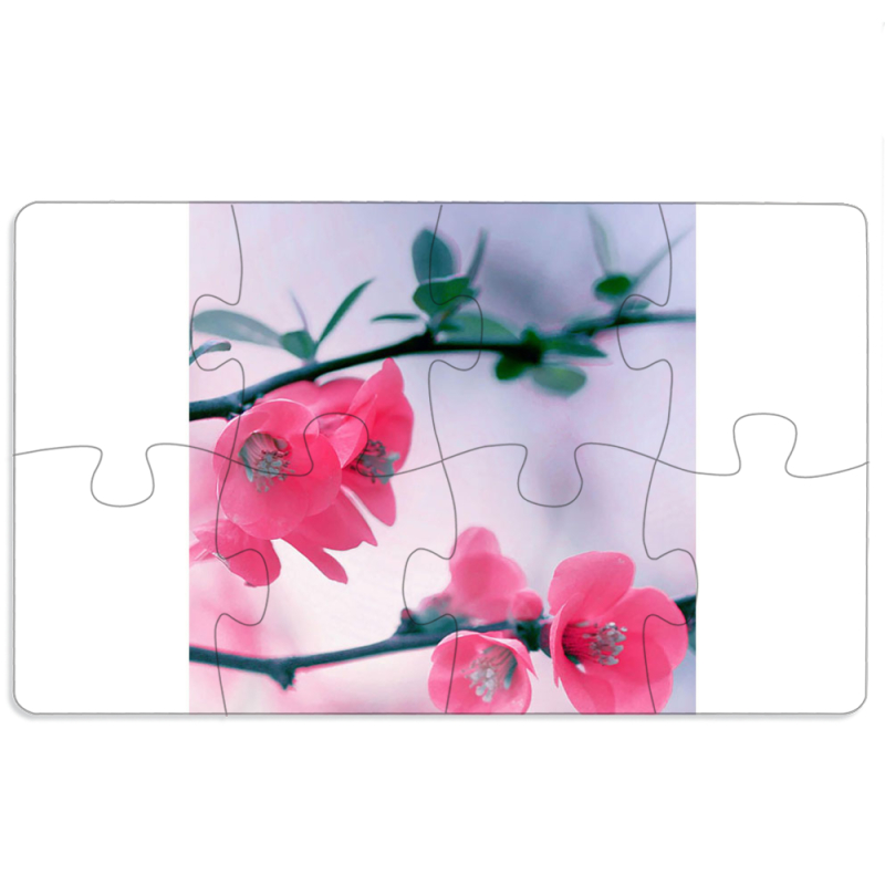 Магнитные фотопазлы 110 на 65 