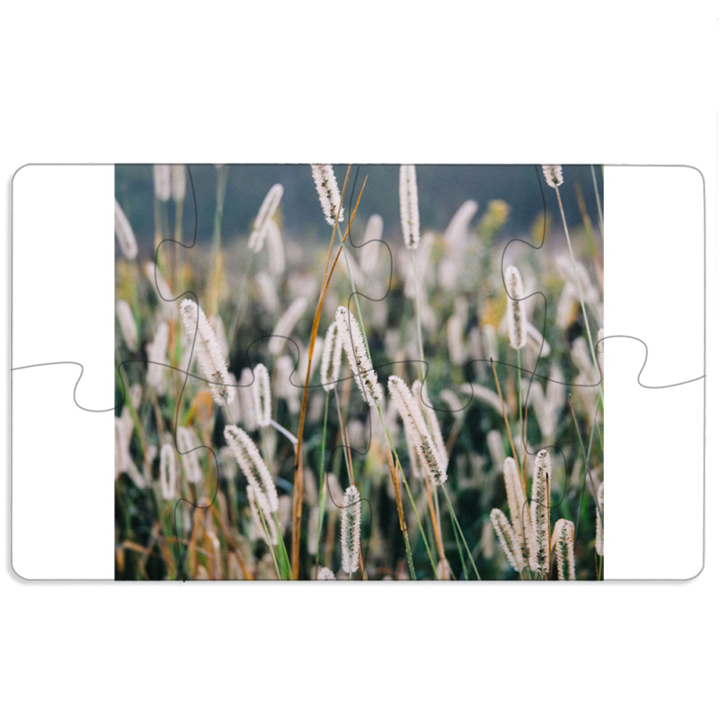 Магнитные фотопазлы 110 на 65 