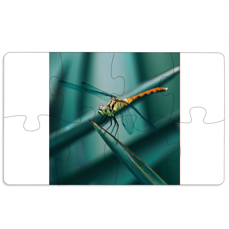 Магнитные фотопазлы 110 на 65 