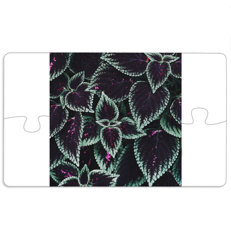 Магнитные фотопазлы 110 на 65 