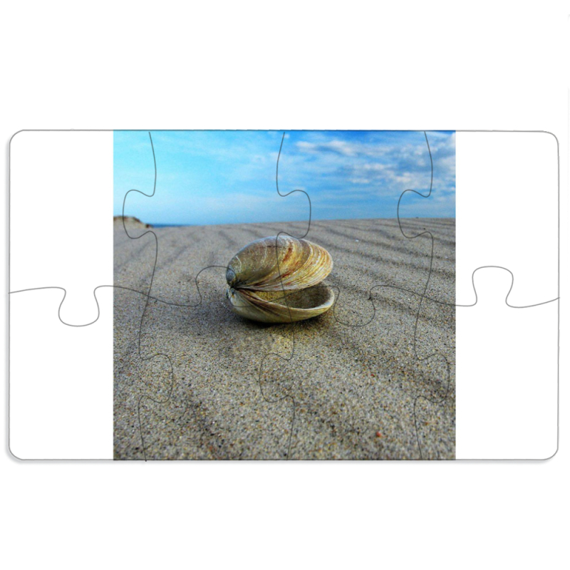 Магнитные фотопазлы 110 на 65 