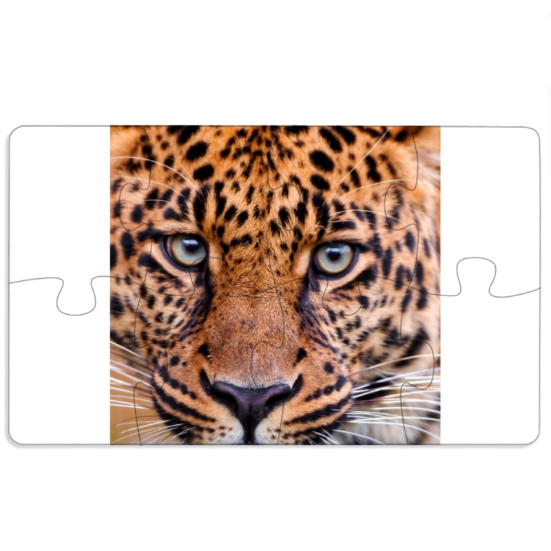 Магнитные фотопазлы 110 на 65 