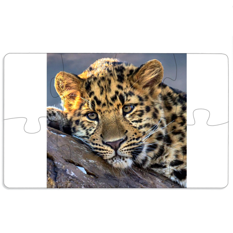 Магнитные фотопазлы 110 на 65 