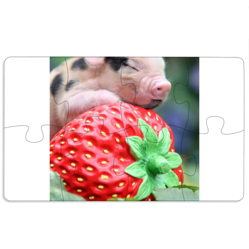 Магнитные фотопазлы 110 на 65 