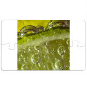 Магнитные фотопазлы 110 на 65 