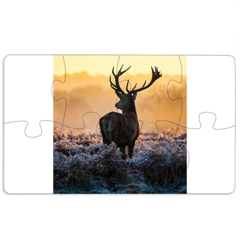 Магнитные фотопазлы 110 на 65 