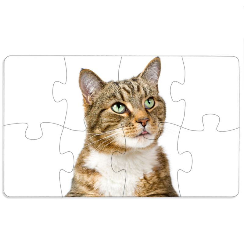 Магнитные фотопазлы 110 на 65 