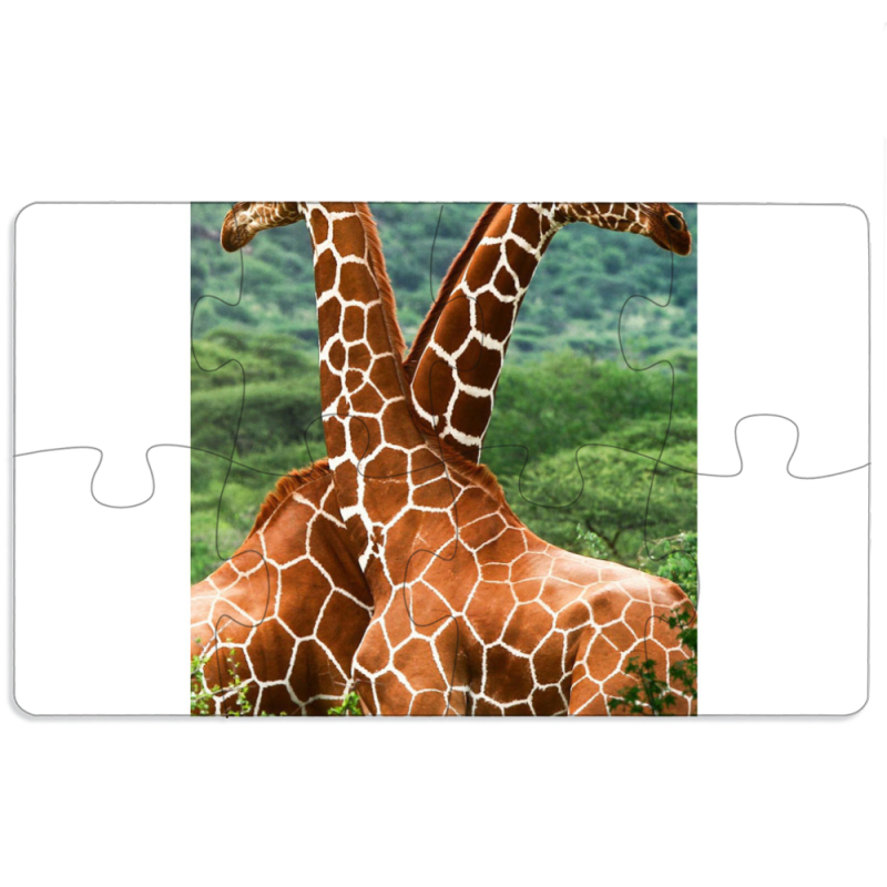 Магнитные фотопазлы 110 на 65 