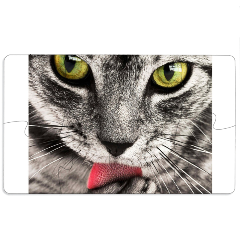 Магнитные фотопазлы 110 на 65 