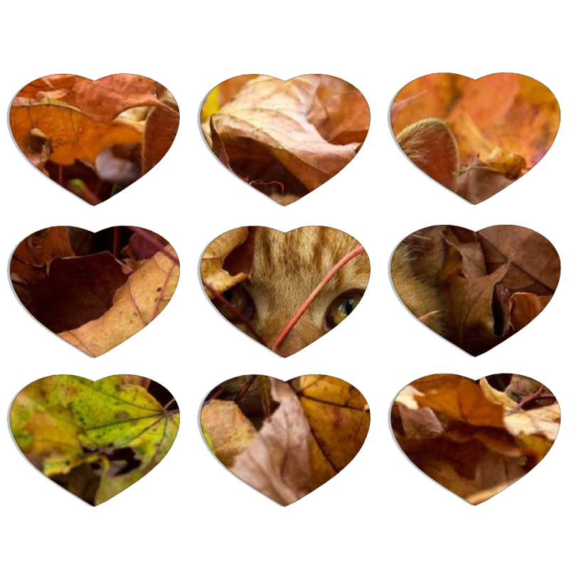 Магнитные фотопазлы Сердце 50 на 50 набор 9 штук 
