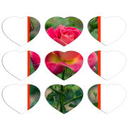 Магнитные фотопазлы Сердце 50 на 50 набор 9 штук 