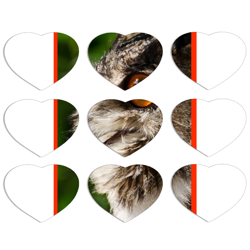 Магнитные фотопазлы Сердце 50 на 50 набор 9 штук 