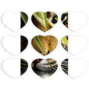 Магнитные фотопазлы Сердце 50 на 50 набор 9 штук 