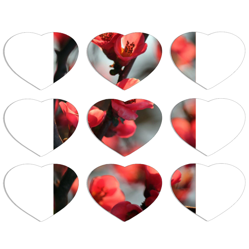 Магнитные фотопазлы Сердце 50 на 50 набор 9 штук Awakening Spring