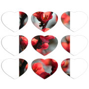 Магнитные фотопазлы Сердце 50 на 50 набор 9 штук Awakening Spring