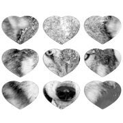Магнитные фотопазлы Сердце 50 на 50 набор 9 штук 