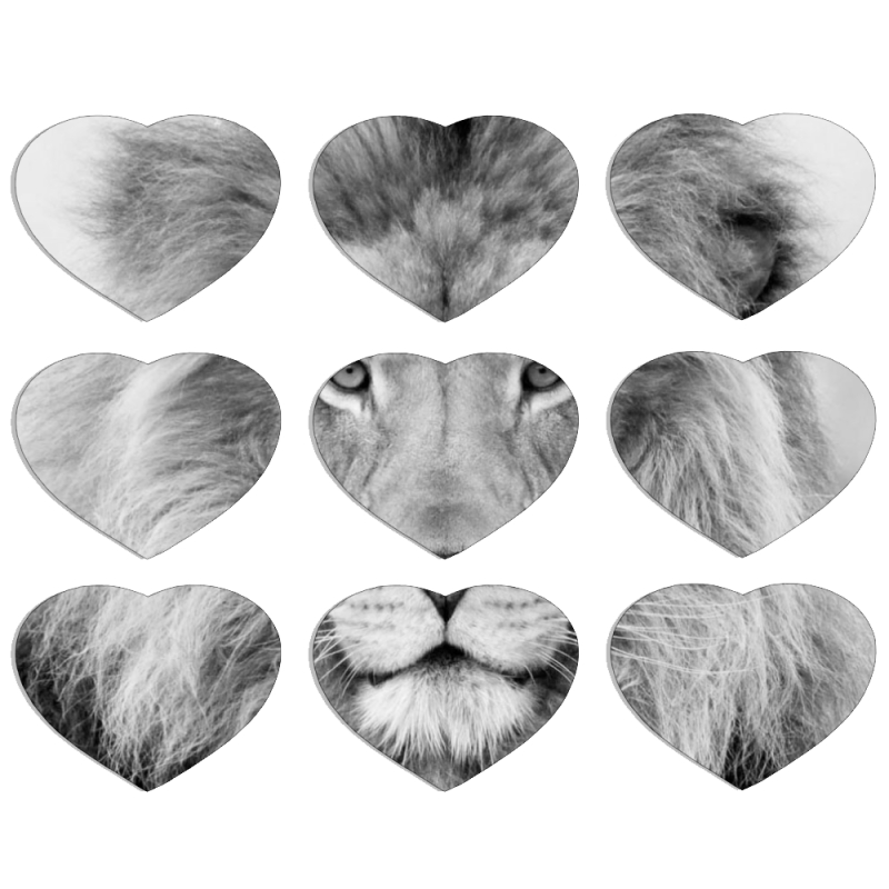 Магнитные фотопазлы Сердце 50 на 50 набор 9 штук 