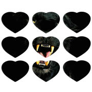 Магнитные фотопазлы Сердце 50 на 50 набор 9 штук 