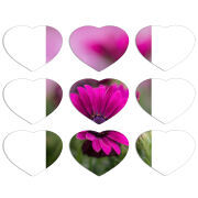Магнитные фотопазлы Сердце 50 на 50 набор 9 штук 