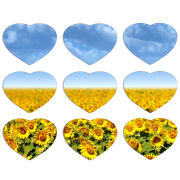 Магнитные фотопазлы Сердце 50 на 50 набор 9 штук Подсолнухи