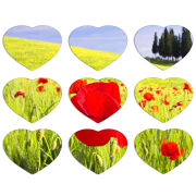Магнитные фотопазлы Сердце 50 на 50 набор 9 штук Мак