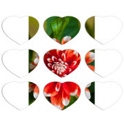 Магнитные фотопазлы Сердце 50 на 50 набор 9 штук 