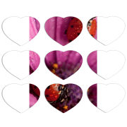 Магнитные фотопазлы Сердце 50 на 50 набор 9 штук 