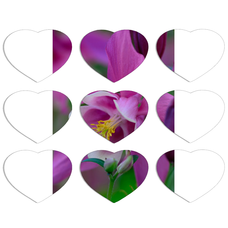Магнитные фотопазлы Сердце 50 на 50 набор 9 штук 