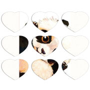 Магнитные фотопазлы Сердце 50 на 50 набор 9 штук 