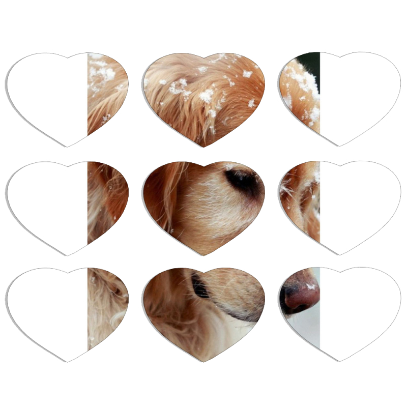 Магнитные фотопазлы Сердце 50 на 50 набор 9 штук Golden Retriever