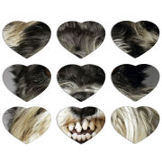 Магнитные фотопазлы Сердце 50 на 50 набор 9 штук Cursor