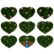 Магнитные фотопазлы Сердце 50 на 50 набор 9 штук Peacocks Tail