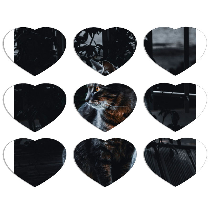 Магнитные фотопазлы Сердце 50 на 50 набор 9 штук 