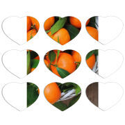 Магнитные фотопазлы Сердце 50 на 50 набор 9 штук 