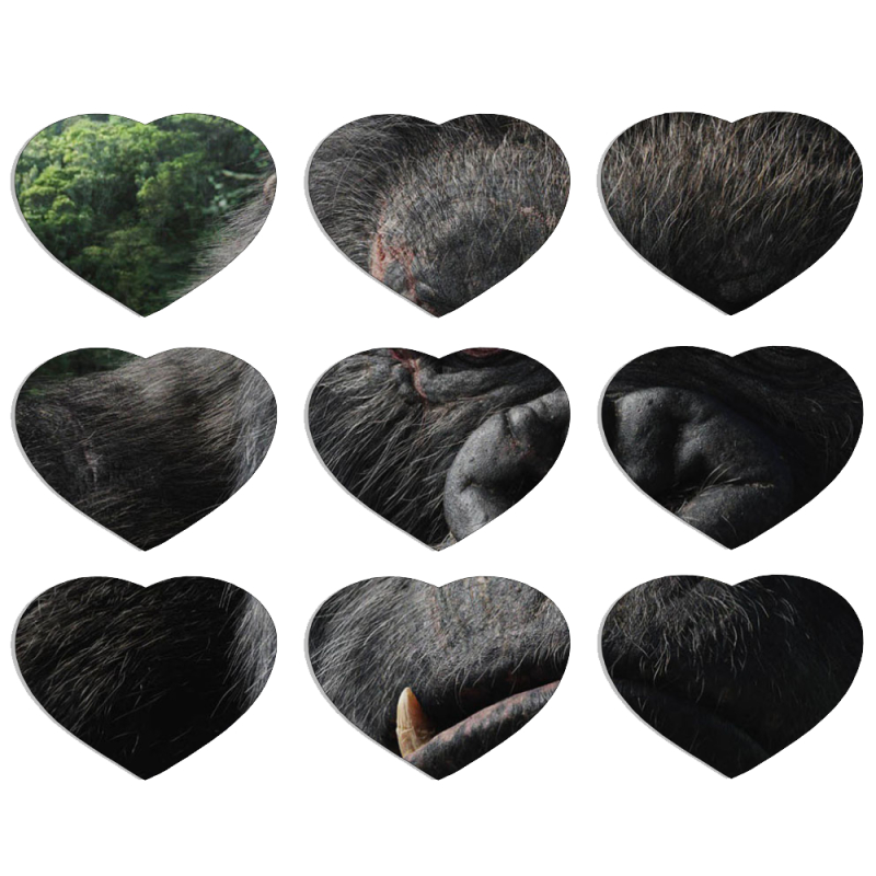 Магнитные фотопазлы Сердце 50 на 50 набор 9 штук Kong