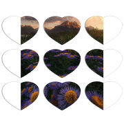 Магнитные фотопазлы Сердце 50 на 50 набор 9 штук 