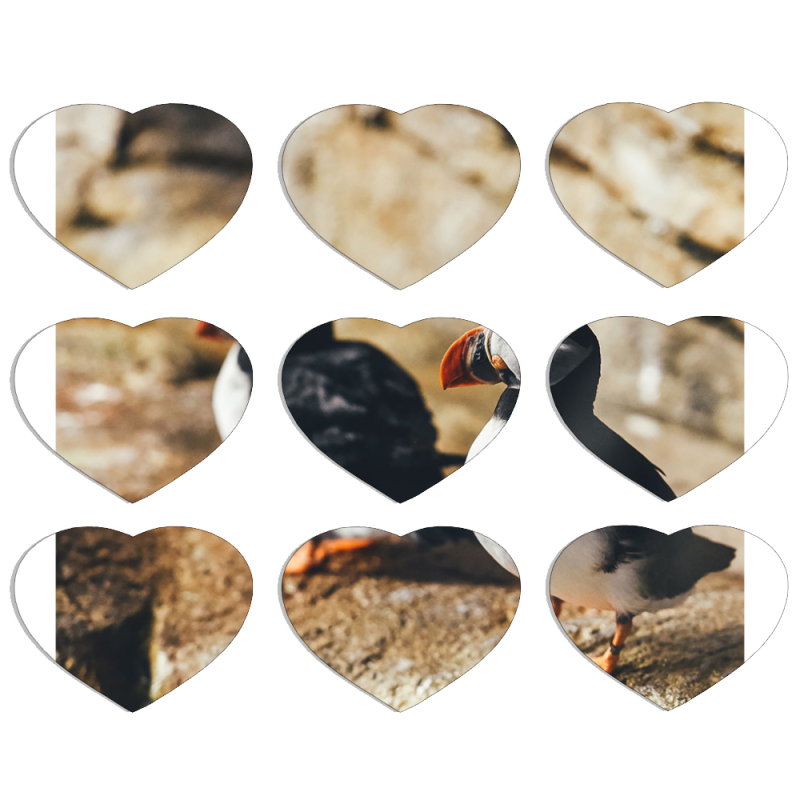 Магнитные фотопазлы Сердце 50 на 50 набор 9 штук 