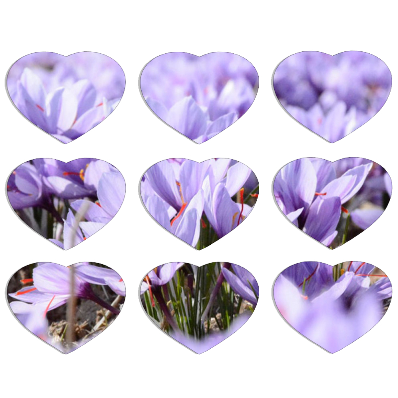 Магнитные фотопазлы Сердце 50 на 50 набор 9 штук 