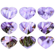 Магнитные фотопазлы Сердце 50 на 50 набор 9 штук 
